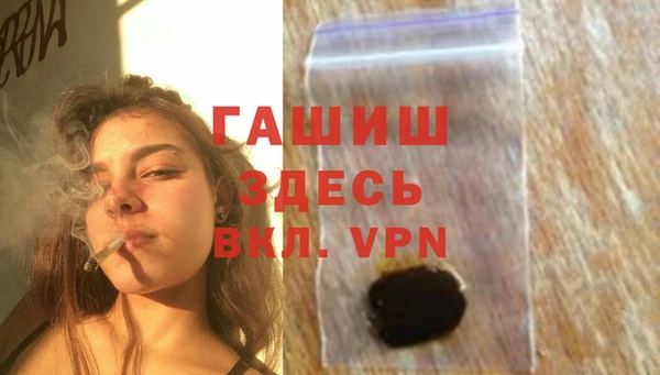 гидра Белокуриха