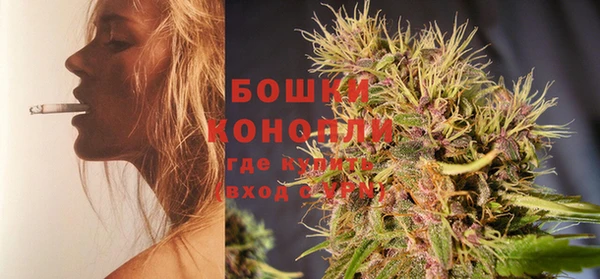 таблы Бородино