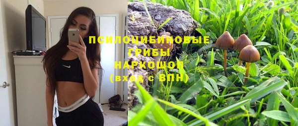 2c-b Беломорск