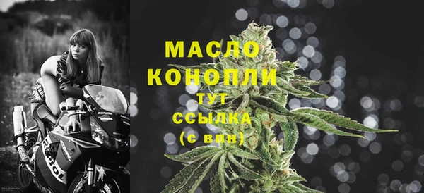 гидра Белокуриха