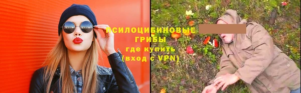 трава Козельск